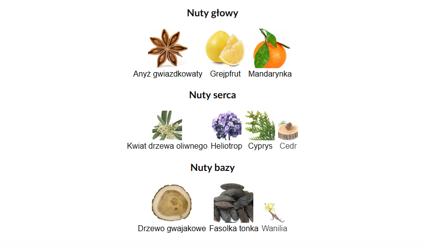 Fragrance World Harmony Code Intense Arabskie Perfumy Dla Mężczyzn 100 ml EDP