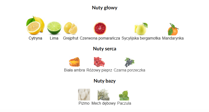 Maison Alhambra Jubilant Vitality Arabskie Perfumy Dla Mężczyzn 100 ml EDP