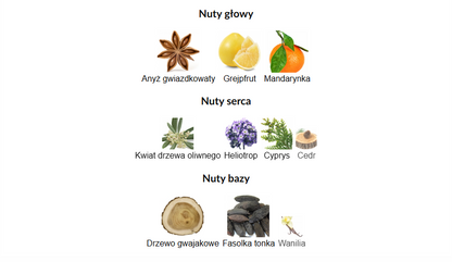 Fragrance World Harmony Code Intense Arabskie Perfumy Dla Mężczyzn 100 ml EDP