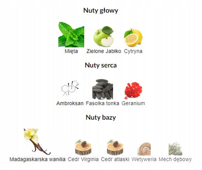 Maison Alhambra Jubilant Oro (Versencia Oro) Perfumy Dla Mężczyzn EDP 100ml