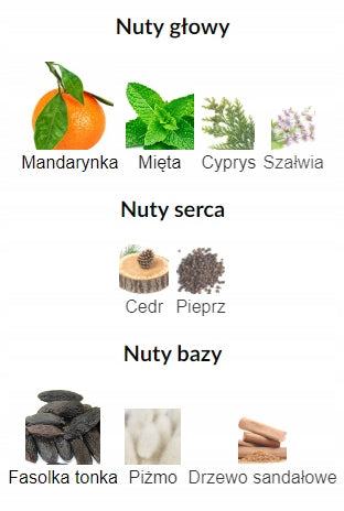 Maison Alhambra Alpine Homme Sport Arabskie Perfumy Dla Mężczyzn EDP 100ml