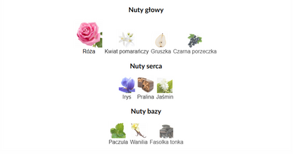 Ard Al Zaafaran Dirham Wardi Arabskie Perfumy Dla Kobiet 100 ml EDP