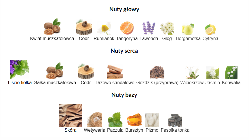 Maison Alhambra Fortnight Arabskie Perfumy Dla Mężczyzn 100 ml EDP