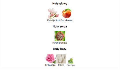 Ard Al Zaafaran Al Ibdaa Gold Arabskie Perfumy Dla Kobiet 100 ml EDP