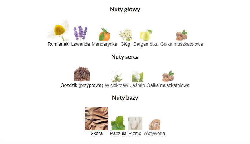 Fragrance World Renheit Arabskie Perfumy Dla Mężczyzn 100 ml EDP