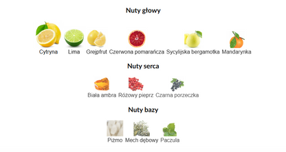 Maison Alhambra Jubilant Vitality Arabskie Perfumy Dla Mężczyzn 100 ml EDP